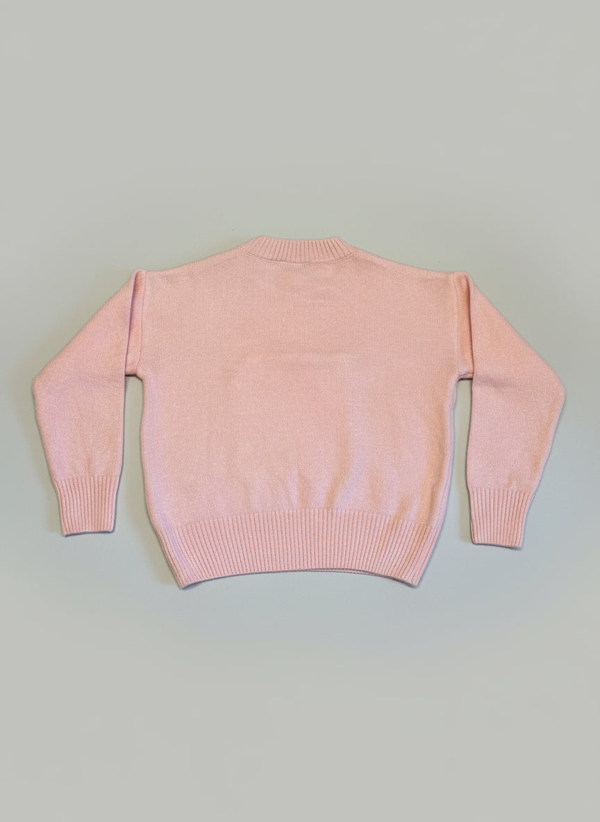 Pink sweater Loewe